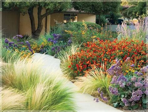  「Waterwise Gardening」:  The Symphony of Drought Tolerance and Verdant Blooms