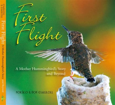  Flight of the Hummingbird：  A Turkish YA Novel That Soars with Hope and Shimmers With Magical Realism